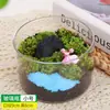Musgo Micro Paisagem Material DIY Saco de Material para Garrafa Cilíndrica Criativo Manualidades para Pais e Filhos Mini Divertido Planta Verde Planta em Vaso