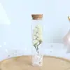 Tubo de ensayo Flor Seca Flor Eterna Gipsofila Rosa Planta Especimen Decoración Día del Maestro Navidad Regalo para Novia