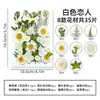 Marcapáginas de flores secas especímenes colección de primavera en botella de película plástica materiales hechos a mano para manualidades estudiantes de primaria flores transparentes