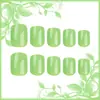 Unhas Vestíveis de Cor Sólida Verde Menta Transfronteiriças Europeias e Americanas, Estilo Fresco, Formato Quadrado Médio, Peças de Unhas Vestíveis Destacáveis