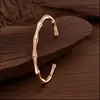 Pulseira Aberta com Junta de Bambu para Mulheres, Pulseira de Aço Titânio de Verão, Estilo Nicho de Alto Padrão, Pulseira de Aço Inoxidável que Não Desbota