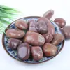 Guijarros, Piedras Flor de Lluvia, Piedras en Bruto, Paisajismo para Acuarios, Flores de Cultivo Hidropónico, Piedras Pequeñas, Macetas, Plantas en Maceta, Piedras Decorativas Multicolor