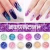 Arte de Uñas Japonés Polvo de Concha Joyería Set de 12 Colores Fototerapia Armadura de Cristal Piedra de Concha Piezas Finas 12 Colores/Caja