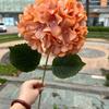 Única grande hortênsia comércio exterior única cabeça Coreano grande hortênsia casamento decoração macia flor falsa fábrica atacado