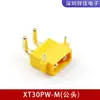 Conector de Alta Corriente Amass Ames XT30U/XT60/XT90H/XT90S-F Enchufe Aero para Modelo Chapado en Oro