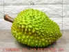 Decoración de Exhibición de Gabinete de Ventana de Casa Modelo Durian Juguete Prop Cognitivo de Plástico Fruta y Verdura Falsa Prop de Plástico