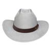Amazon transfronterizo metal estrella de cinco puntas sombrero decorativo sombrero de fiesta nuevo sombrero de caballero europeo y americano sombrero de vaquero occidental