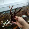 Ornamentos de Paisagismo para Aquário Esqueleto Azaleia Preguiçosa Plantas Aquáticas Habitat Paisagismo Madeira Flutuante Aquário de Répteis Aquário