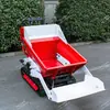 Camión volquete tipo oruga con capacidad de carga de 500 kg, certificado por la EPA, preferido para uso transfronterizo, adecuado para transporte en huertos y jardines de té