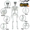 Nuevo Esqueleto de Halloween de 40 cm, Colgable y Oscilante, Decoración de Ambiente para Bares y Salas de Escape, Accesorio de Cuerpo Humano Simulado