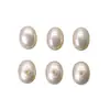 Perlas de Imitación Ovaladas de Medio Agujero, Perlas de Imitación Tipo Arroz, Perlas con Forma de Arroz, Perlas de Imitación de Concha, Perlas Sueltas Blancas, Materiales para Accesorios Semi-Terminados de Bricolaje