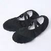 Zapatos de baile Si Tang sin cordones para mujer, zapatos de ejercicio de suela blanda para adulto, zapatos de yoga, zapatos de garra de gato, zapatillas de ballet, zapatos para el cuerpo