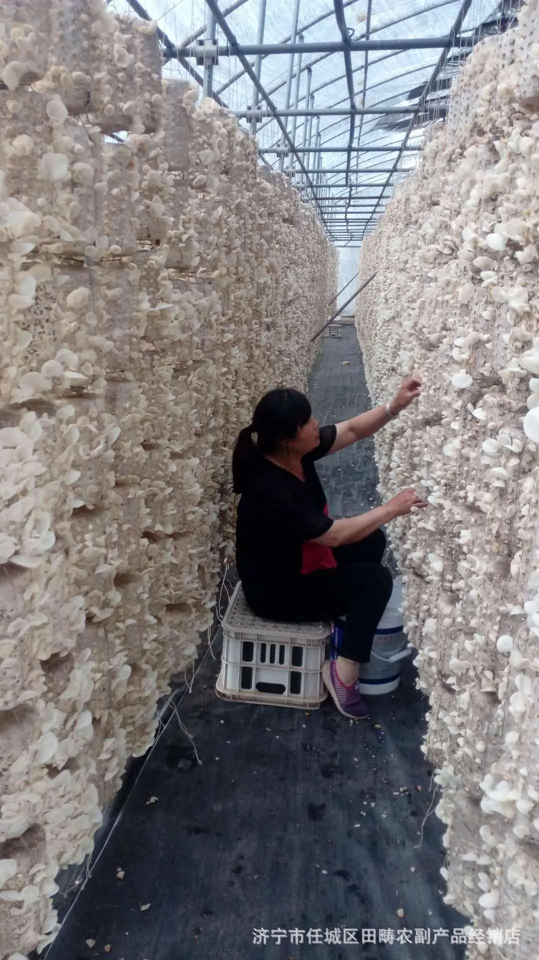 微信图片_20200405212619