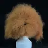 Parches de Piel Sintética para Mascotas Práctica de Esteticista Parches de Pelo de Espalda Pelo de Perro Pelo de Cabeza Esqueleto de Caniche Modelo Oso de Peluche Bichón