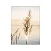 Pintura Decorativa Moderna Escandinava de Paisaje de Pradera con Diente de León Caligrafía de Caña de Lago Pegatina de Pared Pintura sin Marco para Sala de Estar