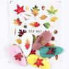 Cross-border Hot nail Art Marca d'água Adesivos ins Halloween Crânio Maple Leaf Russo unha Adesivos Atacado