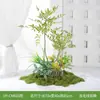 Plantas Verdes Simuladas Hy-Cm6, Plantas de Paisajismo con Musgo, Combinación de Paisaje Pequeño para Interiores, Plantas Artificiales, Decoración Biomiética