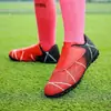 Zapatos de fútbol infantiles transfronterizos TF de tacos cortos talla 28-39 caña baja para jóvenes zapatos deportivos de entrenamiento para césped otros