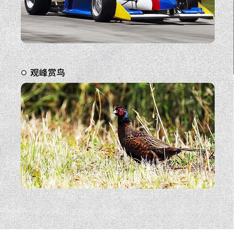 详情页_15.jpg
