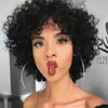 Peruca Nova Transfronteiriça Peruca Europeia e Americana para Mulheres Cabelo Cacheado Pequeno Afro Feito à Mão Peruca Cabeça Explosiva Peruca de Seda de Alta Temperatura perucas