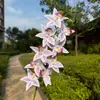 Orquídeas Phalaenopsis de 9 cabezas para decoración de bodas, adornos decorativos para sala de estar, arreglos florales, pared de flores, arreglos para el pasillo del salón de bodas