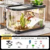 Tanque de Peces Transparente Grande de Alta Definición, Tanque para Peces Dorados, Tanque Ecológico de Escritorio para Observación de Peces, Adorno Decorativo, Acuario Grande para Tortugas para Cuidado de Tortugas