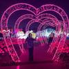 Fabricante Personalizado Iluminação de Engenharia Externa Led Arco de Coração Luzes de Natal para Feriados Casamento Luzes Decorativas para Pátio Externo