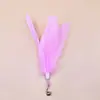 Juguete para Gatos Caña de Pescar con Cascabel, Varilla Larga, Ventosa, Pluma, Alivio del Estrés, Entretenimiento Propio, Resistente a Mordiscos, Cabezales Intercambiables, Venta al por Mayor