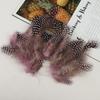 En Stock Todo el Año 5-10cm Plumas de Pollo de Plumas Perla Accesorios para Manualidades Juguetes para Mascotas con Plumas Materiales de Decoración