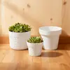 Mini Macetas, Exquisitas Macetas para Suculentas, Pequeñas Macetas para Plantas de Interior, Macetas Pequeñas de Plástico Modernas No Porosas