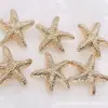 Botão de Metal Pontilhado Botão de Estrela Botão de Estrela-do-Mar Botão Criativo Estrela de Cinco Pontas Fivela Decorativa Infantil 21mm Diferente