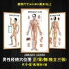 Mapa de puntos de meridianos del cuerpo completo estándar alto niños claro medicina tradicional china masaje de pies acupuntura póster de salud