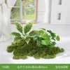 Paisajismo con Combinación de Plantas Verdes, Plantas Artificiales, Musgo Simulado, Decoración de Micro-Paisaje para Esquinas Interiores, Plantas Pequeñas en Maceta