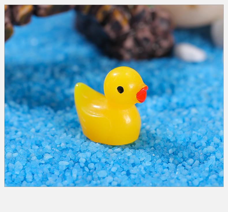 彩色小鸭_10