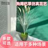 Planta verde artificial dogtail grama casamento adereços decoração janela decoração sala de estar interior decoração modelo acessórios reparo quarto