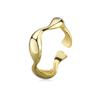 Serie de Anillos Abiertos Retorcidos Combinación Personalidad Simple Coreana Temperamento Chapado en Plata Anillo de Mobius Suministro para Comercio Electrónico