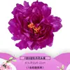 Flores Artificiales para Bodas en Stock, Flores de Seda, Luces de Flores LED, Accesorios, Accesorios para Fotografía, Cabezas de Flores de Peonía para Salones de Bodas, Flores Grandes
