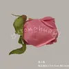 Flores Artificiales Rojas, Rosas y Hortensias Realistas de Alta Calidad, Venta al por Mayor de Decoración para Bodas, Materiales Florales DIY para Paisajismo