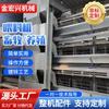 Equipo Mecánico Máquina de Alimentación Automática Jaula de Pollo Industria Ganadera Jin Hongxing Alimentador Automático Completo para Gallinas Ponedoras