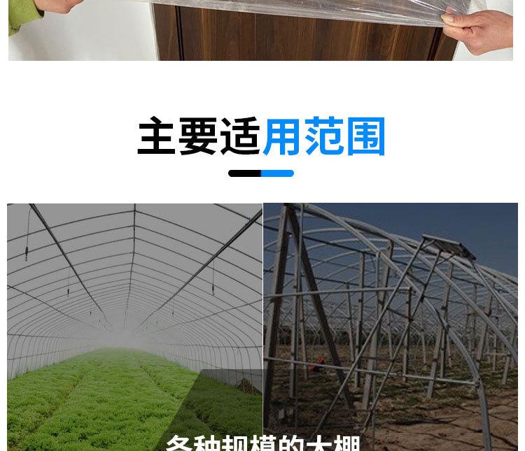 10米_08.jpg