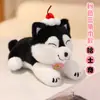 Lindo peluche de cachorro de mascota, tamaño pequeño de dibujos animados con atuendos y bufanda intercambiables, Husky, Bichón, Shiba Inu, juguete de peluche, regalo