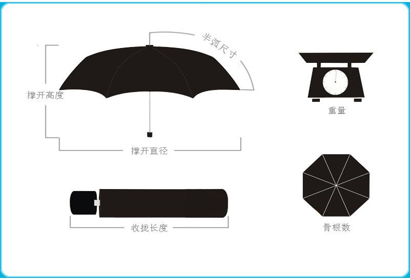 4114751284_1170786934