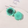Sueño Color Arcoíris Azúcar Sentido Rosa Joyería Parche Aretes DIY Tocado Accesorios para el Cabello Zapatos con Agujeros Zapatos Accesorios de Flores