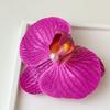 Yi Mengling mismo estilo atmósfera mariposa orquídea flor horquilla hembra cabeza trasera orquídea agarre alto grado sentido Internet celebridad presión clip