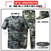 Conjunto de Uniforme Camuflado para Treinamento Militar para Estudantes Universitários Masculinos e Femininos, Uniforme Camuflado Azul de Verão Fino, Conjunto Completo de Camiseta de Manga Curta