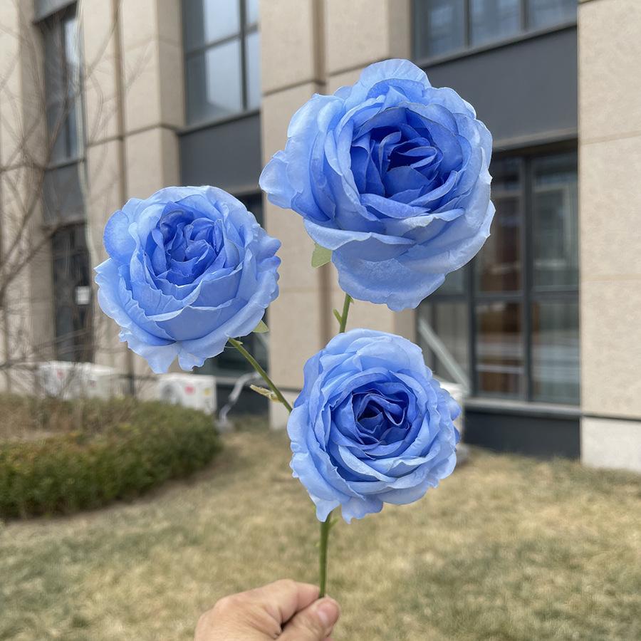 3头如意卷边玫瑰-wxlsx-深天蓝.JPG