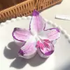 Novo Prendedor de Cabelo Colorido de Frangipani para Mulheres, Prendedor de Cabelo Super Flor de Fada, Elegante Presilha Tubarão, Acessórios de Cabelo para a Parte de Trás da Cabeça