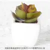 Suculentas Simuladas Personalizadas Cerámica Bonsái Plantas Verdes Escandinavas Adornos Hogar Interior Sala de Estar Flores Falsas Suculentas Plantas en Maceta