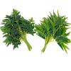 Hoja de bambú artificial hoja de bambú falsa rama de bambú pequeña de plástico hoja de bambú individual rama de bambú hojas artificiales completas de hierro al por mayor