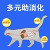 Alimento para gatos al por mayor Precio completo gato universal alimento básico para gatos gato adulto gatito alta nutrición casa para gatos alimento de carne fresca comida para gatos